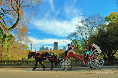 New York City Central Park Nyc 0004
