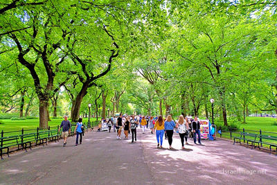 New York City Central Park Nyc 0006