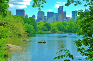 New York City Central Park Nyc 0010