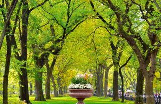 New York City Central Park Nyc 0012