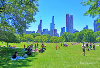 New York City Central Park Nyc 0013