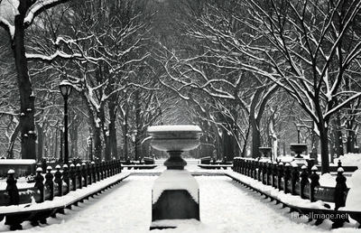 New York City Central Park Nyc 0017