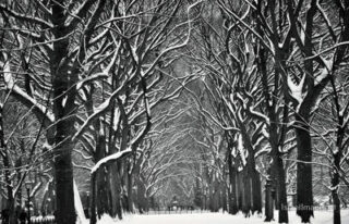 New York City Central Park Nyc 0018