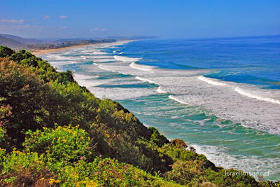 South Africa Garden Route Western Cape Dolphin Point 0001