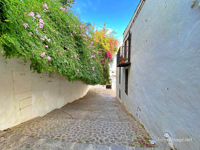 Spain Ibiza Town 0052