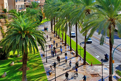 Spain Palma De Mallorca 0003