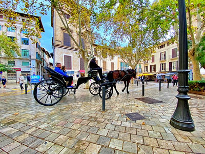 Spain Palma De Mallorca 0011