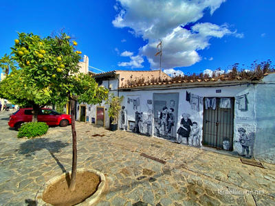 Spain Palma De Mallorca 0015