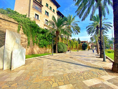 Spain Palma De Mallorca 0049