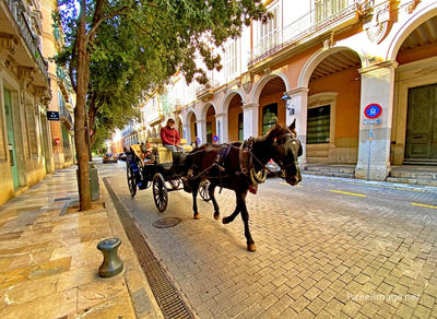 Spain Palma De Mallorca 0060
