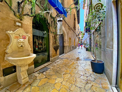 Spain Palma De Mallorca 0068