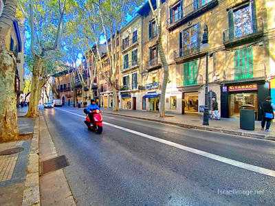 Spain Palma De Mallorca 0070