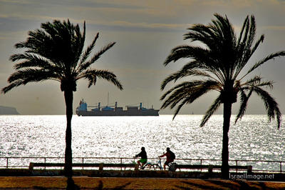 Spain Palma De Mallorca 0085