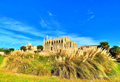 Spain Palma De Mallorca Cathedral Of Santa Maria 0003