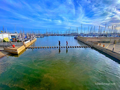 Spain Palma De Mallorca Marina Port De Mallorca 0005