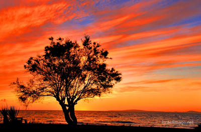 Spain Palma De Mallorca Sunset 0002
