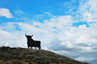 spain Spain Black Bull 0001