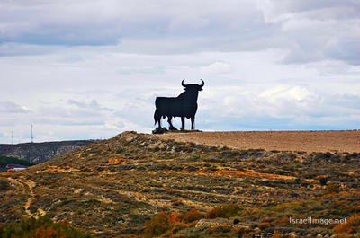 Spain Black Bull 0003