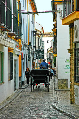spain cordoba Spain Cordoba 0004