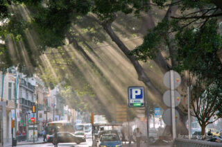 malaga city cente Spain Malaga City Center 0003