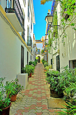 spain marbya Spain Marbya 0005