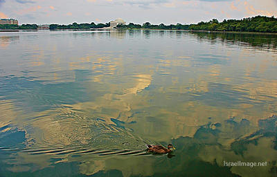 USA Washington DC Thomas Jefferson Memorial - Washington Dc 0001