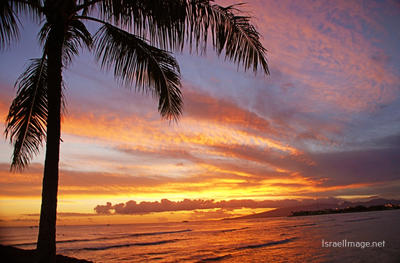 Usa Oahu Hawaii Sunset 0029