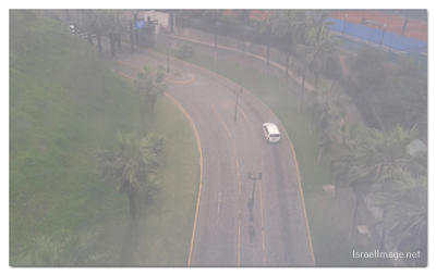 morning fog print Morning Fog 0001