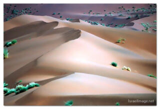 Namibia Sossusvlei 00029