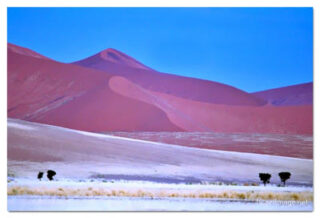 Namibia Sossusvlei 00031