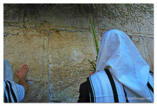 kotel sukkot print Kotel Sukkot 00023