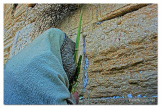 kotel sukkot print Kotel Sukkot 00074