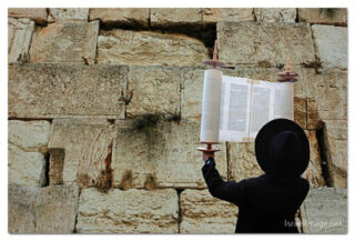 kotel Torah Praying print Kotel Torah Praying 00002