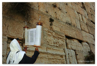 kotel Torah Praying print Kotel Torah Praying 00003