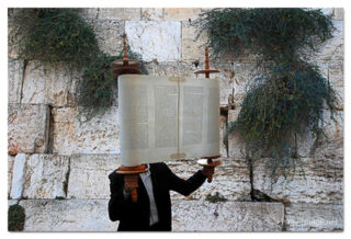 kotel Torah Praying print Kotel Torah Praying 00005