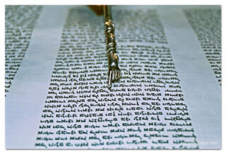 kotel Torah Praying print Kotel Torah Praying 00021