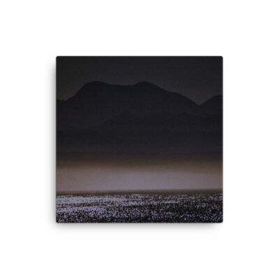 thin-canvas-in-12x12-front-68b09836539c4.jpg Thin canvas South Africa Plettenberg Bay Garden Route Western Cape 0010