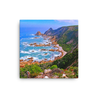 Thin canvas South Africa Kranshoek Garden Route Western Cape 0001