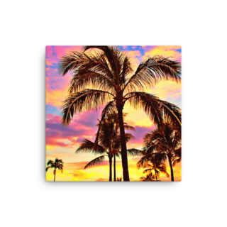 Thin canvas Usa Oahu Hawaii Sunset 0007