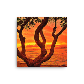 Thin canvas Usa Oahu Hawaii Sunset 0004