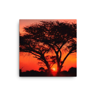Thin canvas Afrika Sunset 0001