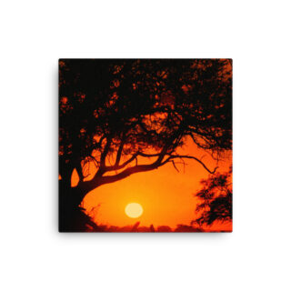 Thin canvas Afrika Sunset 0003