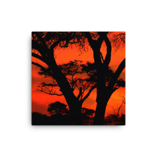 Thin canvas Afrika Sunset 0002
