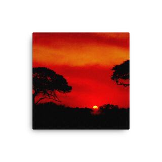 Thin canvas Afrika Sunset 0004