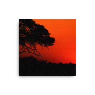 Thin canvas Afrika Sunset 0005