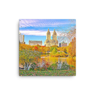 Thin canvas Usa New York City Central Park Foliage 0001