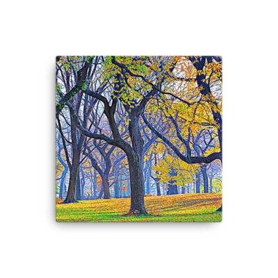 Thin canvas Usa New York City Central Park Foliage 0004