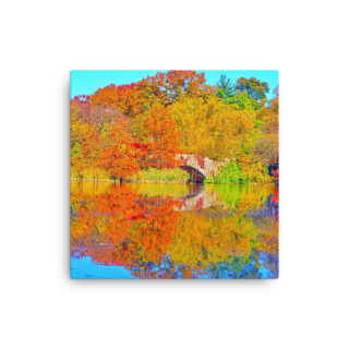 Thin canvas Usa New York City Central Park Foliage 0003