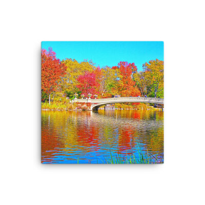 Thin canvas Usa New York City Central Park Foliage 0002