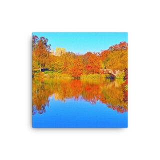 Thin canvas Usa New York City Central Park Foliage 0005